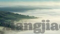 麻豆91成人-行业的复杂性与伦理探讨，麻豆91的镜鉴为题的文章，以下是为介于不同视角与思考所撰写的文本